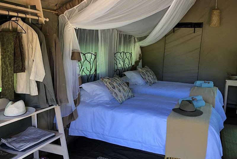 Twin Tented Accommodation Mana Pools